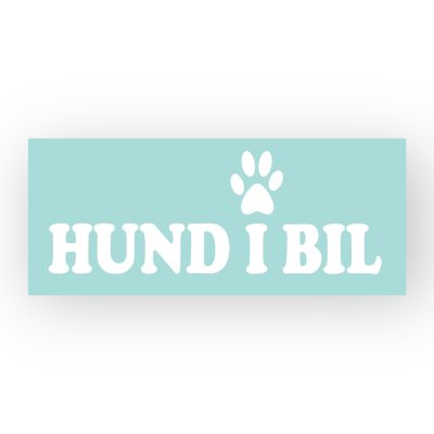 Hund i bil