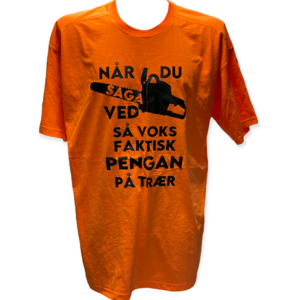 Når du saga