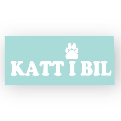 Katt i bil